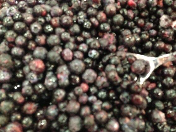 WildBBerries's tweet photo. Serving up #wildblueberries at #fnce2013 - taste the wild difference and discover our healthy benefits. http://t.co/xMuTS3DBQN