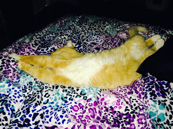 aimski_'s tweet image. and 12 hours later.... #SamePosition