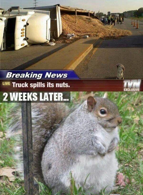 PinkChocoCandy's tweet photo. Breaking News !! http://t.co/BrTMow1MY1
