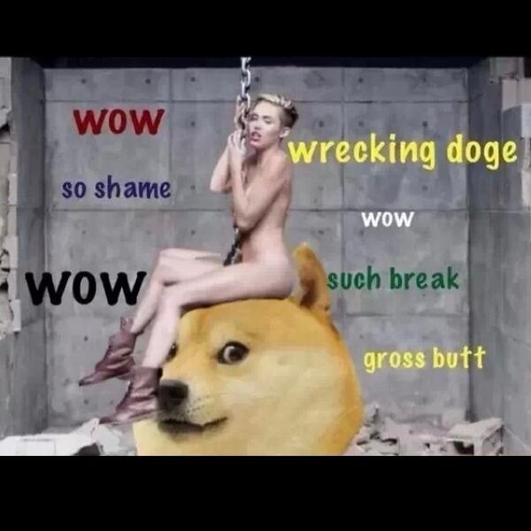 such_shibe's tweet photo. http://t.co/En8Tv2Se8n