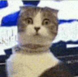 basicallyjm's tweet image. #PCAforbigtimerush
My reaction when someone mentions big time rush