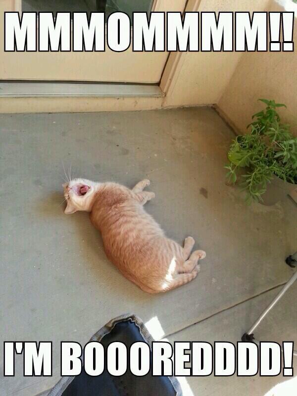 #Monday is so #boring