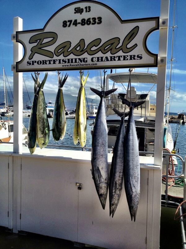 Rascal Charters tweet media