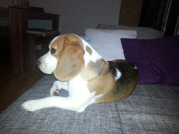 Tv gucken am abend :)