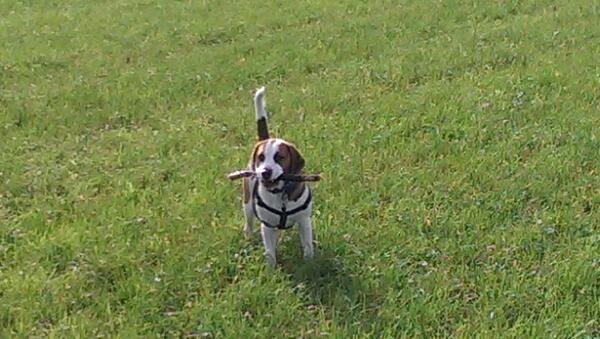 I've been soooooo busy,  buy,  sell,  chase,  chew etc etc