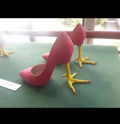 taniaclorofila tweet picture