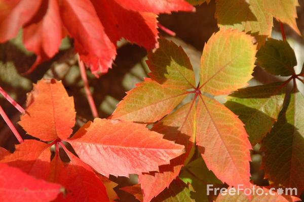 Infolio DeSignMakers tweet media