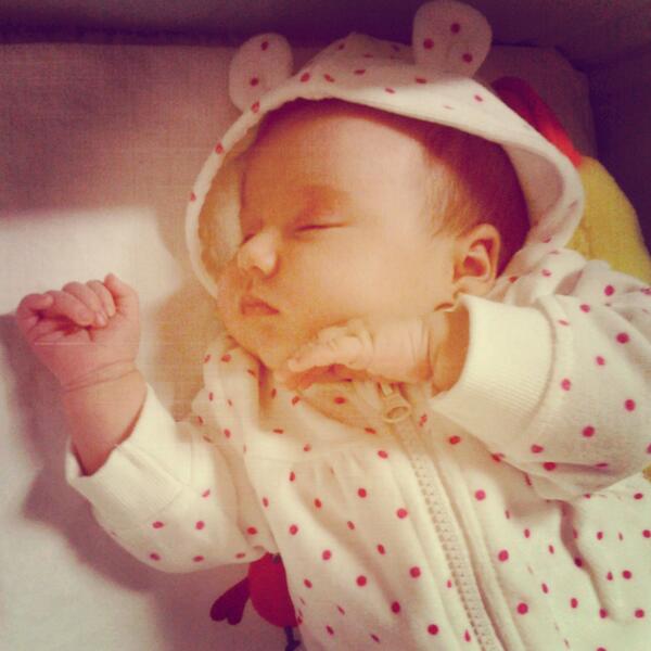 Carolinabraham's tweet photo. Mi osita bella!! http://t.co/YFwcjDXcDw