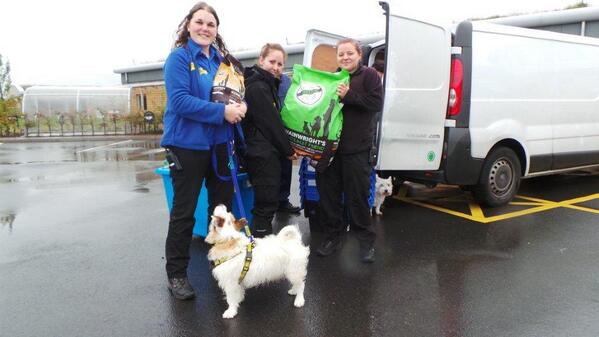 pets at home wainwrights dog food