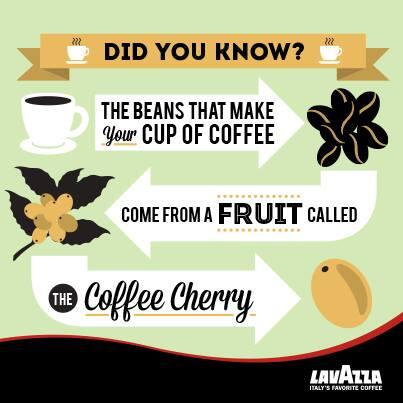 Have you ever heard of a coffee cherry?