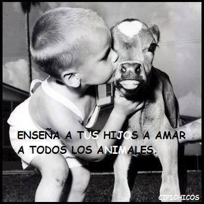 LadridosFelices's tweet photo. Con el fin de llegar un poco más lejos estamos en el twitter. ¡venga chicos! ¡Juntos podemos! http://t.co/jFBoAsXFAz