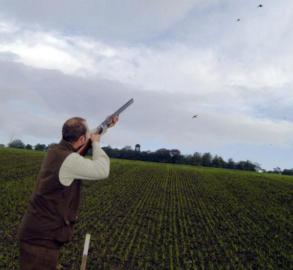 R&amp;L or L&amp;R at partridge.