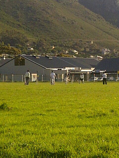 hhcc3's tweet photo. Our juniors @Ibehardien15&amp;Usama playing for their school.shot by U.Salie.He just lost his wicket for well played 49. http://t.co/5RfUeW3gWS