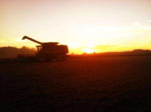 HannahMarieS94's tweet photo. Michigan harvest #heritageacres @FarmKidLife @farmerpics #TractorTuesday http://t.co/IkN1r90OzE