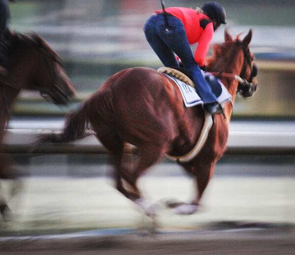 jensvisualcandy's tweet image. "@drewbrees:Looking4ward2 @BreedersCup @NBC onNov2..Rooting4ourHorse @TheCaracortado: #BCTurfSprint!  #BC13" V@ABRLive