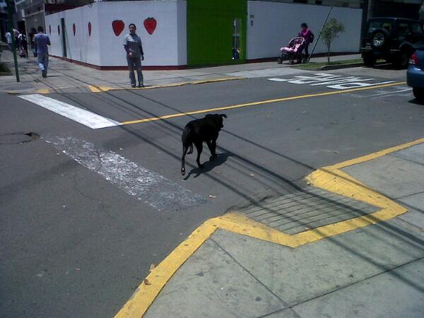 ReporteroW tweet media