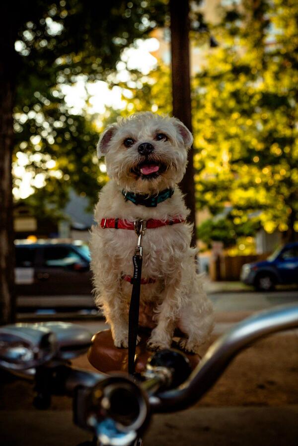 Kaxan_KXAN's tweet image. If any ever asks how I ride, I'm just "ridin dirty". #chamillionaire Check me out on a bike. #ridindirty