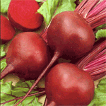 raudycruz's tweet photo. #Constanza produce en promedio cada año 24,000,000 lbs de #Remolacha ==> http://t.co/AOKSWCRJtz