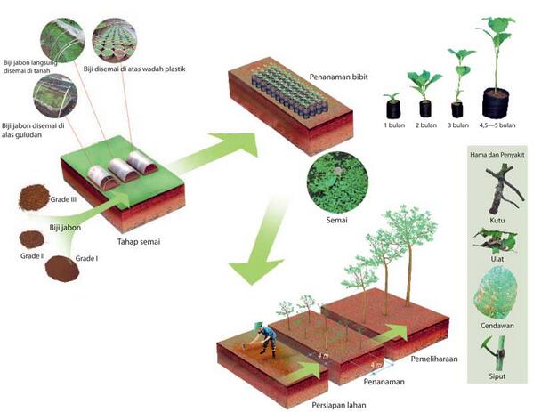 Lestari dan berkelanjutan..