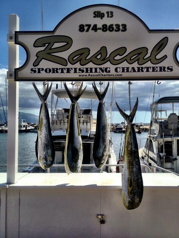 Rascal Charters tweet media