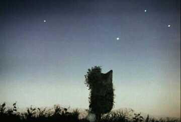 firsssovvva's tweet image. Я скучаю по некогда близким мне людям...но утро от этого не перестает быть добрым:-) #доброеутра