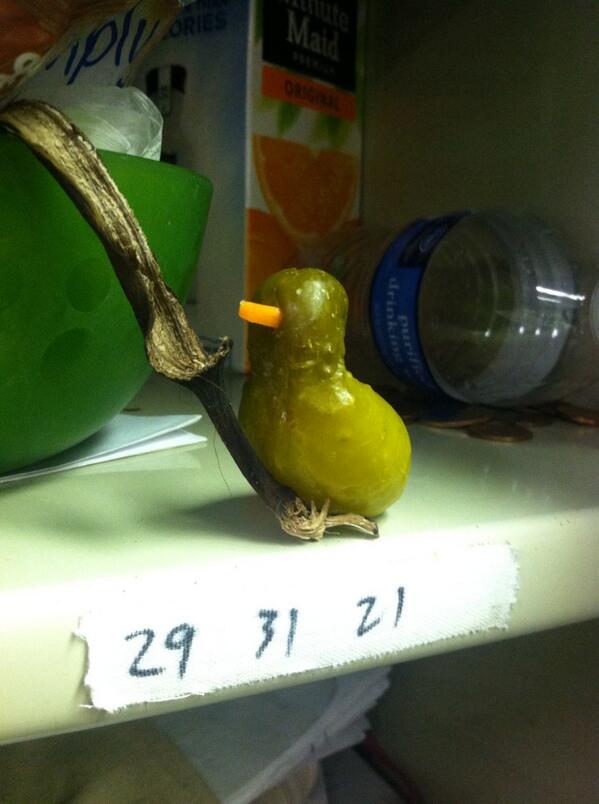 bj_moonshoes's tweet photo. My lucky little pickle ducky 😘 http://t.co/mVyt7gpWFs