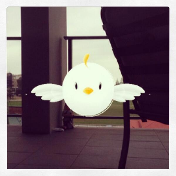 PicPicApp's tweet image. Catch me high catch me low #picpicoftheday #picpic #picoftheday #photooftheday #instagood #... ift.tt/18a390F