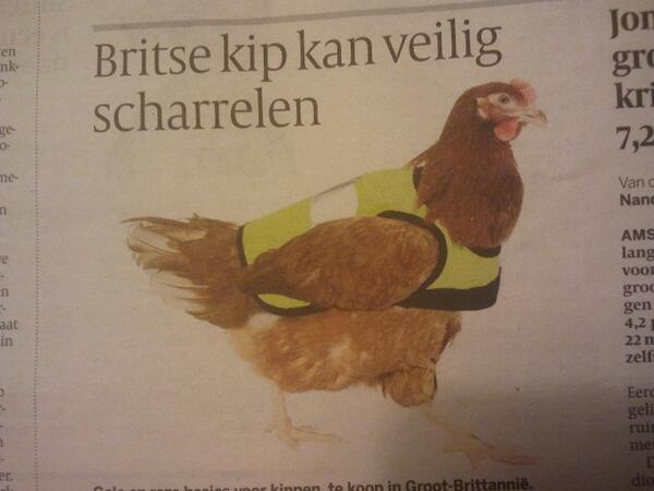 Nieuwe outfit voor kippen op Klein Essen in 2025