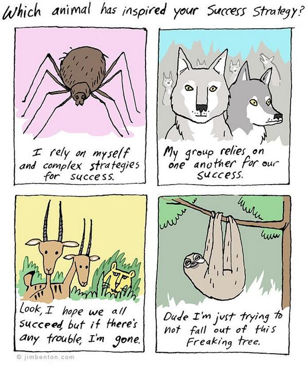 BLIKcom's tweet image. 