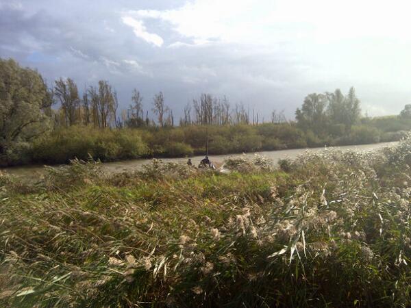 Gerard Stoop tweet media