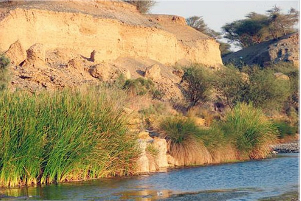 JustHuman's tweet photo. صورة لـ #غدير_خم 
#عيد_الغدير 
#عيد_الولاية 
متباركين http://t.co/iNp0qC5uRu