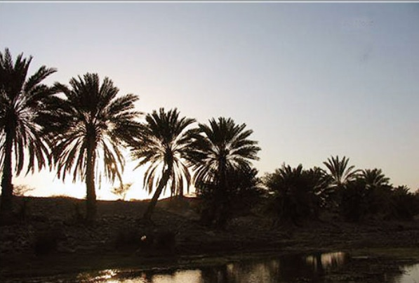 JustHuman's tweet photo. صورة لـ #غدير_خم 
#عيد_الغدير 
#عيد_الولاية 
متباركين http://t.co/9MjAptMCb5