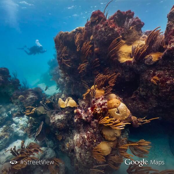 googlemaps's tweet photo. NEW! Dive underwater with #StreetView of Bermuda in partnership with @seaviewsurvey: http://t.co/OSQy2p2AWH http://t.co/tZHP1Q0bLu