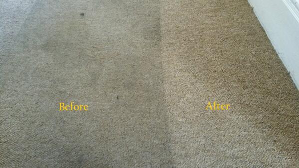 CarpetechClean tweet picture