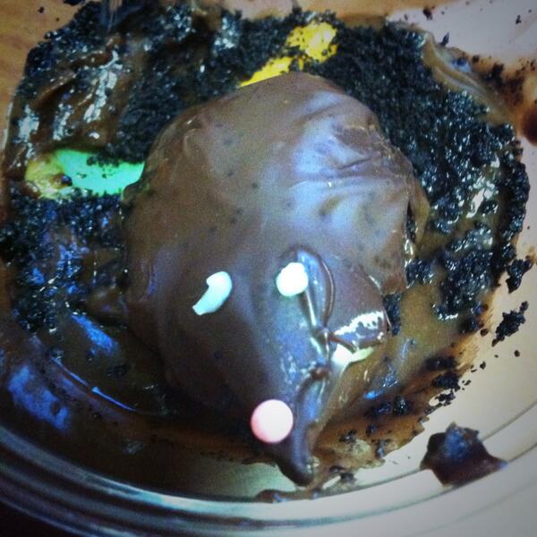 LammyHammy143's tweet image. Happy MOLE DAY!!! #chemnerd #moledessert ☺