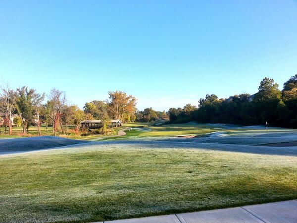 Messenger's Lawn tweet media