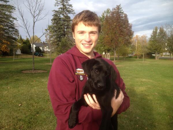 DogTrainingMN's tweet image. 