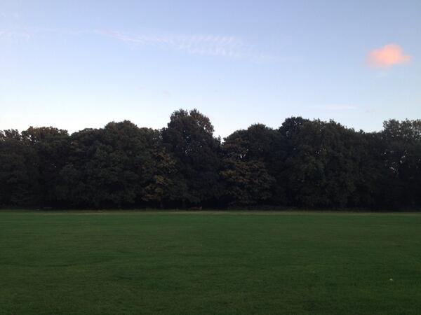 BSBConversation's tweet photo. It's a beautiful evening on the common. #balham #photography #tootingcommon http://t.co/X4pvTrhihq