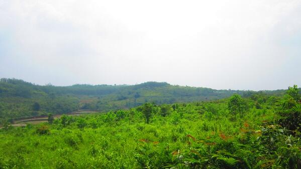 Ayo kita manfaatkan lahan tidur menjadi lahan produktif..