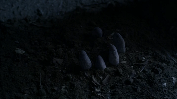 cinjarrella's tweet photo. "what are those? are those fingers?" "there mushrooms, Aria. Get your grip together!" http://t.co/qLwzAI5PNq