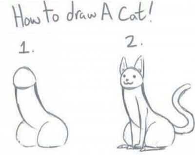 PhanPhotoz's tweet photo. How to draw a cat http://t.co/hQBl3Wf3Pw