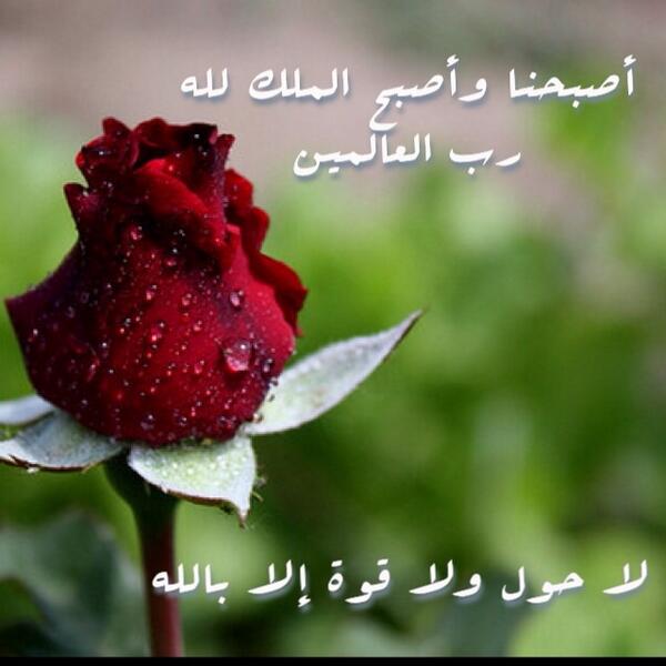 81Zoz's tweet photo. http://t.co/0zh3MV5pL9