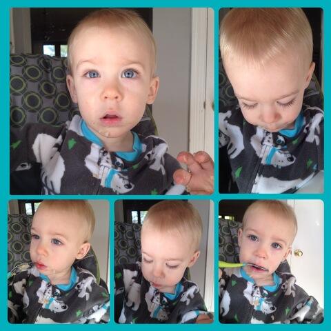 zebraphant's tweet image. My blue eyed little boy :)