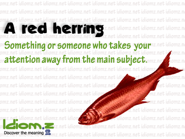 Learn English Idioms on Twitter: "#idiom : red herring ! meaning : Something someone who takes your attention away from the main subject.. http://t.co/Pw0FitdqGn" / Twitter