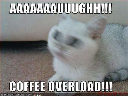 sarahc_johnson's tweet image. Animal!!! @missbrookegee today is a goooooood day #HTMLcodes