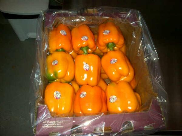 raudycruz's tweet photo. #Constanza tiene un área Productiva de  Invernaderos para vegetales de 813,205 M², destinados para la exportación. http://t.co/zDX93k3z51