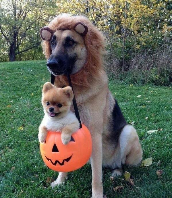 IEarthPictures's tweet image. Trick-or-Treat!
