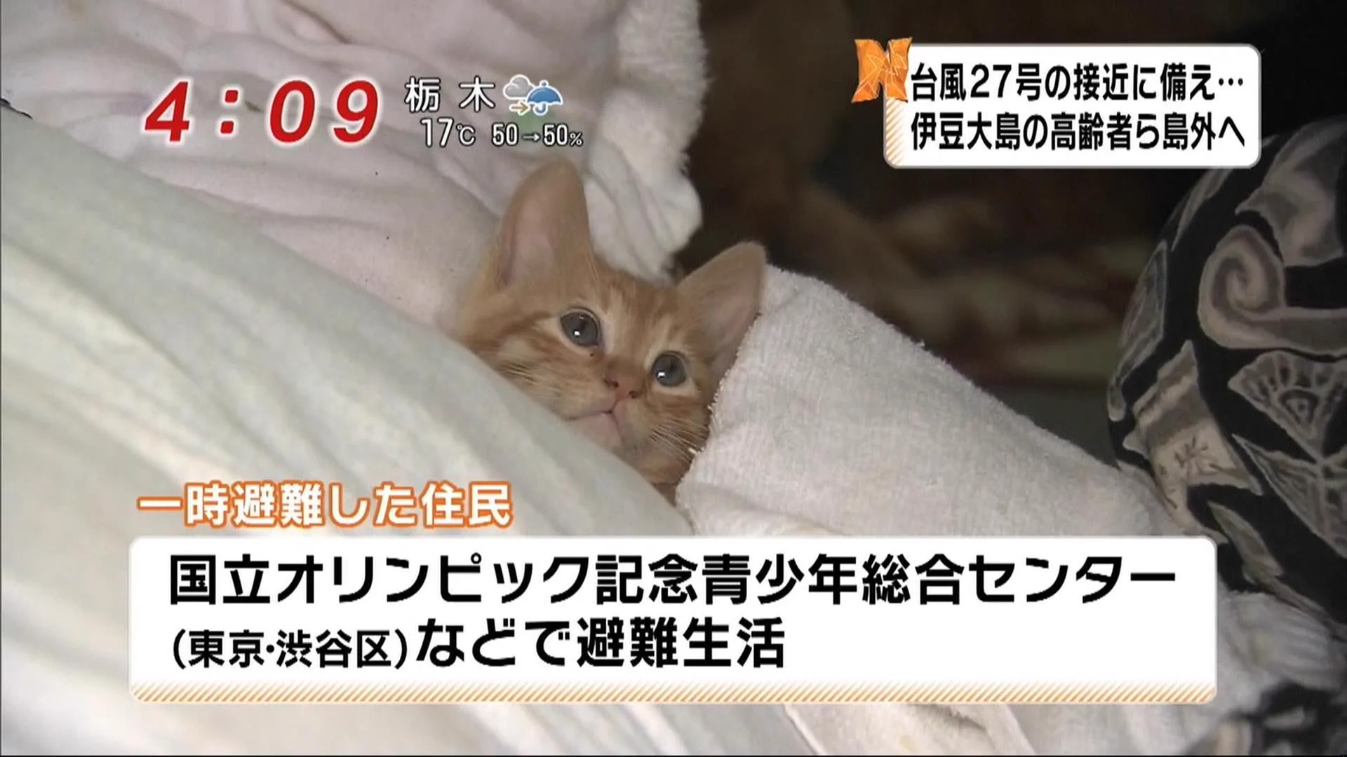 さらぽん on X / X