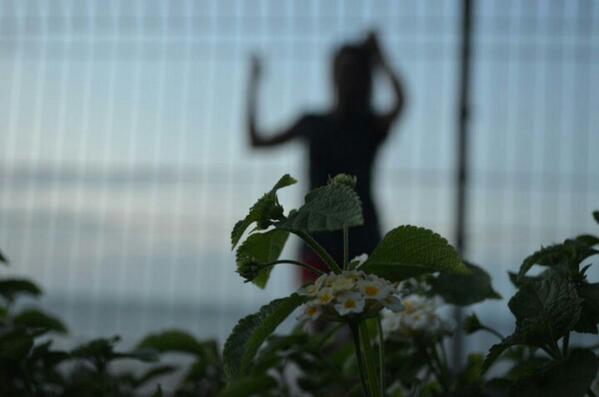SiktusSS's tweet photo. @fotoHEBAT http://t.co/RfHUNVsqL1
