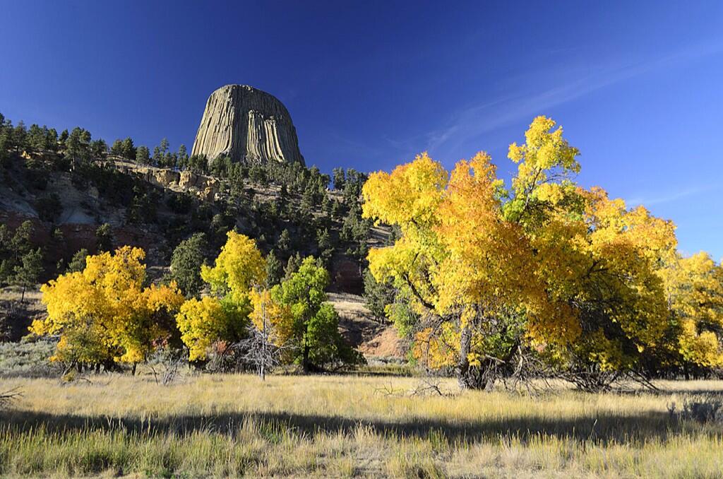 Devils Tower NM. pic.twitter.com/YRo1U8DSMQ